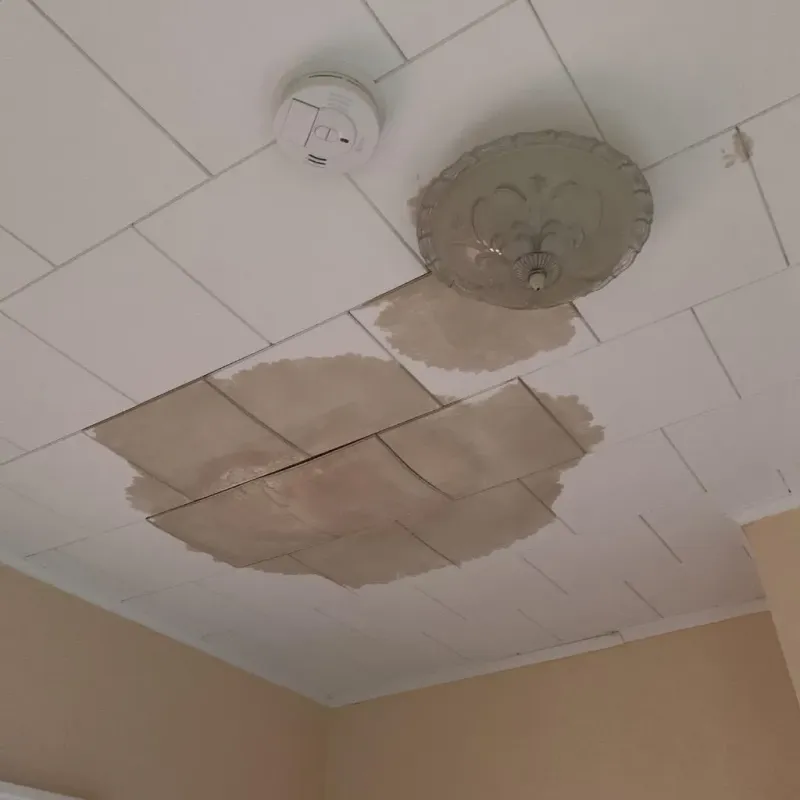 Ceiling Water Damage Repair in Mansfield, PA