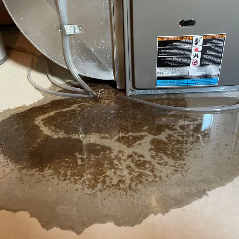 Pipe Burst and Leak Restoration in Mansfield, PA